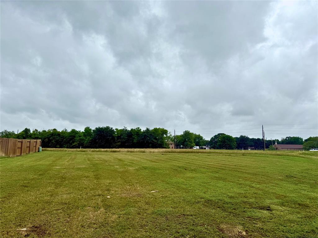 13503 Red Bloom Circle, Mont Belvieu, Texas image 3