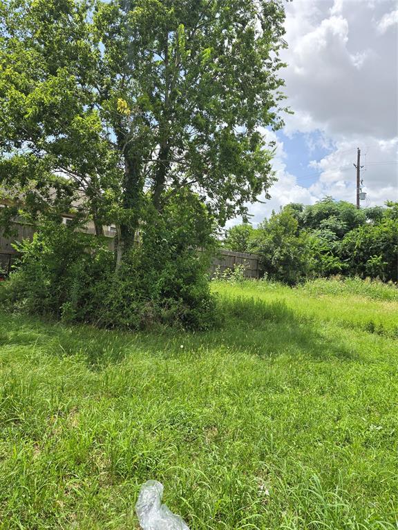 10024 Morocco Road, Houston, Texas image 1