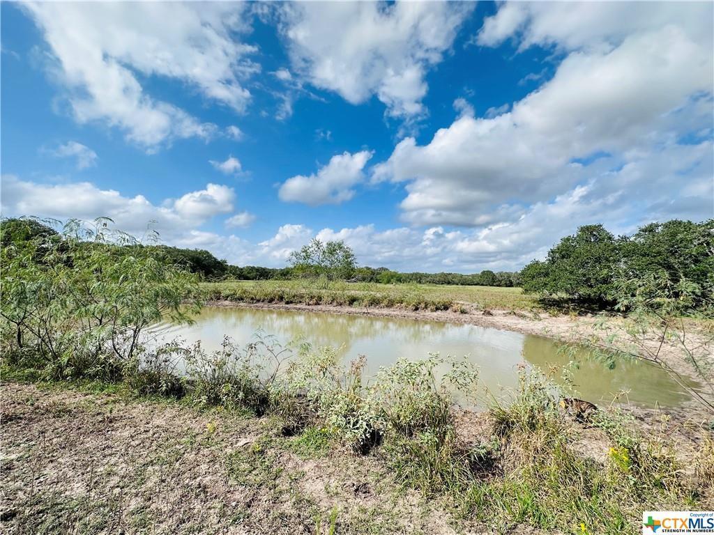 15 County Road 440, Yoakum, Texas image 11