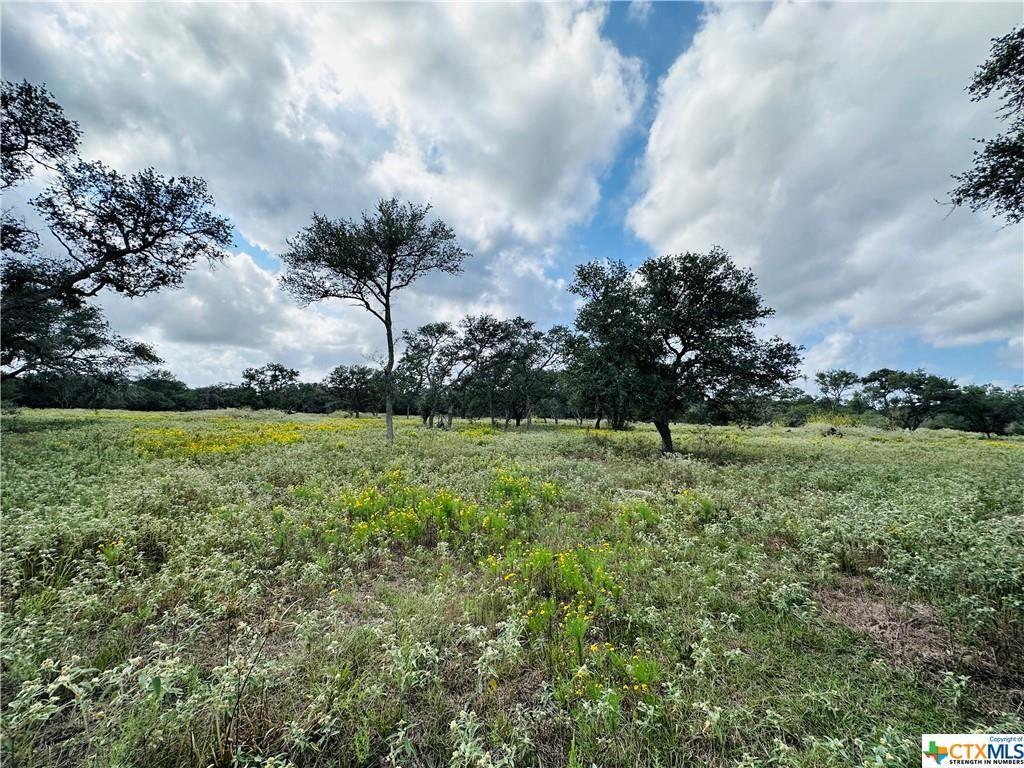 15 County Road 440, Yoakum, Texas image 10