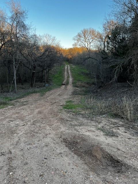 112 W Ahupu Lane, Bastrop, Texas image 3