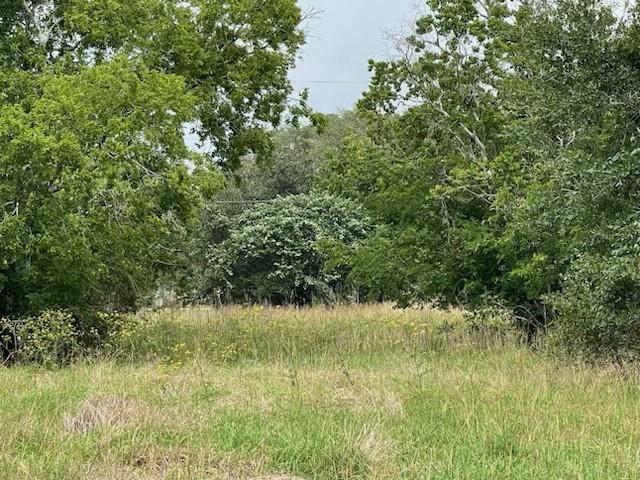 280 County Road 470, Palacios, Texas image 6