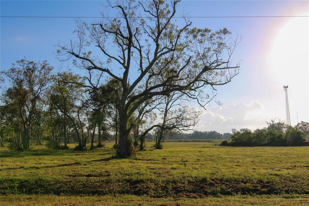 0000 County Road 358, Brazoria, Texas image 5