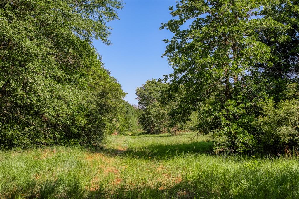 1012 Cr 438, Lexington, Texas image 25