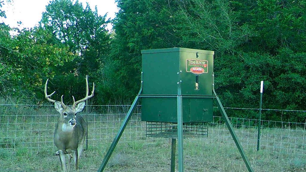 1012 Cr 438, Lexington, Texas image 19