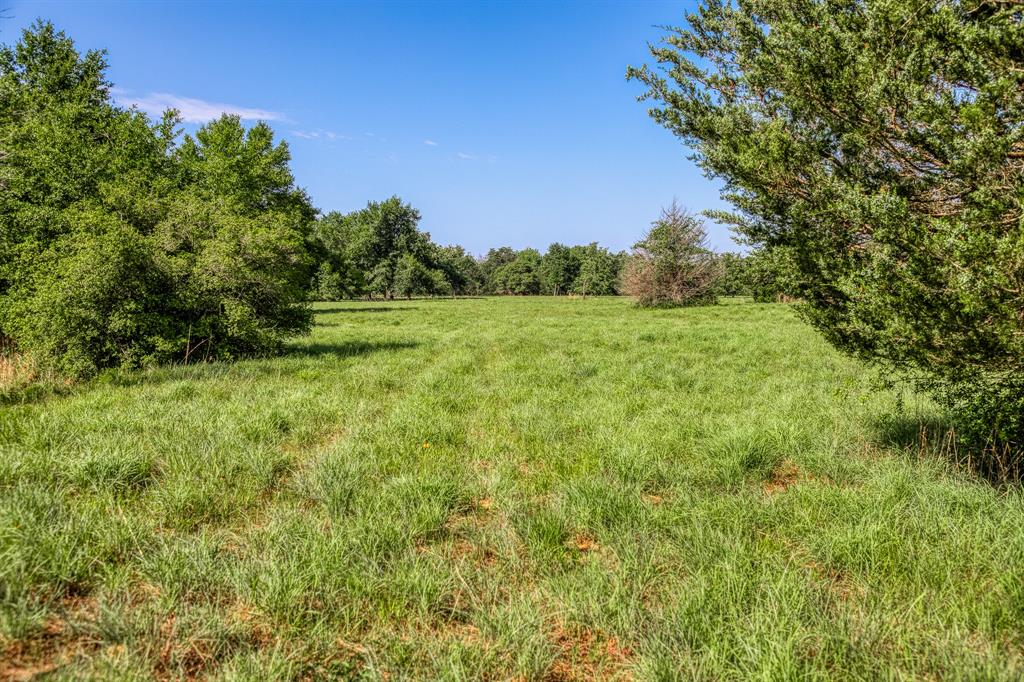 1012 Cr 438, Lexington, Texas image 10