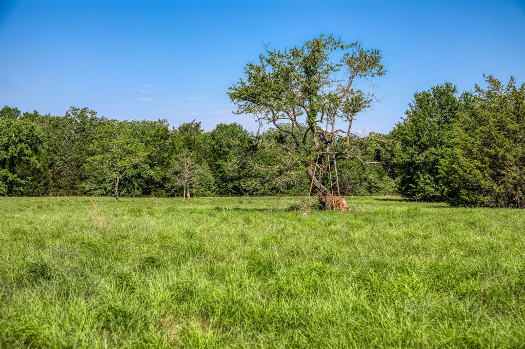 1012 Cr 438, Lexington, Texas image 29