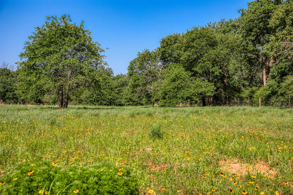 1012 Cr 438, Lexington, Texas image 12