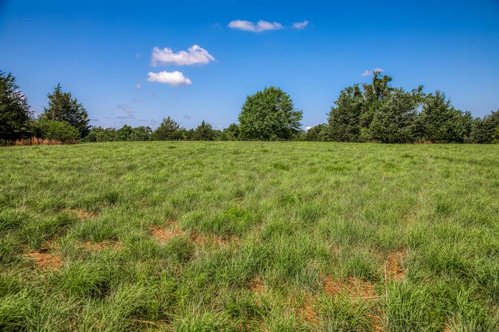 1012 Cr 438, Lexington, Texas image 30