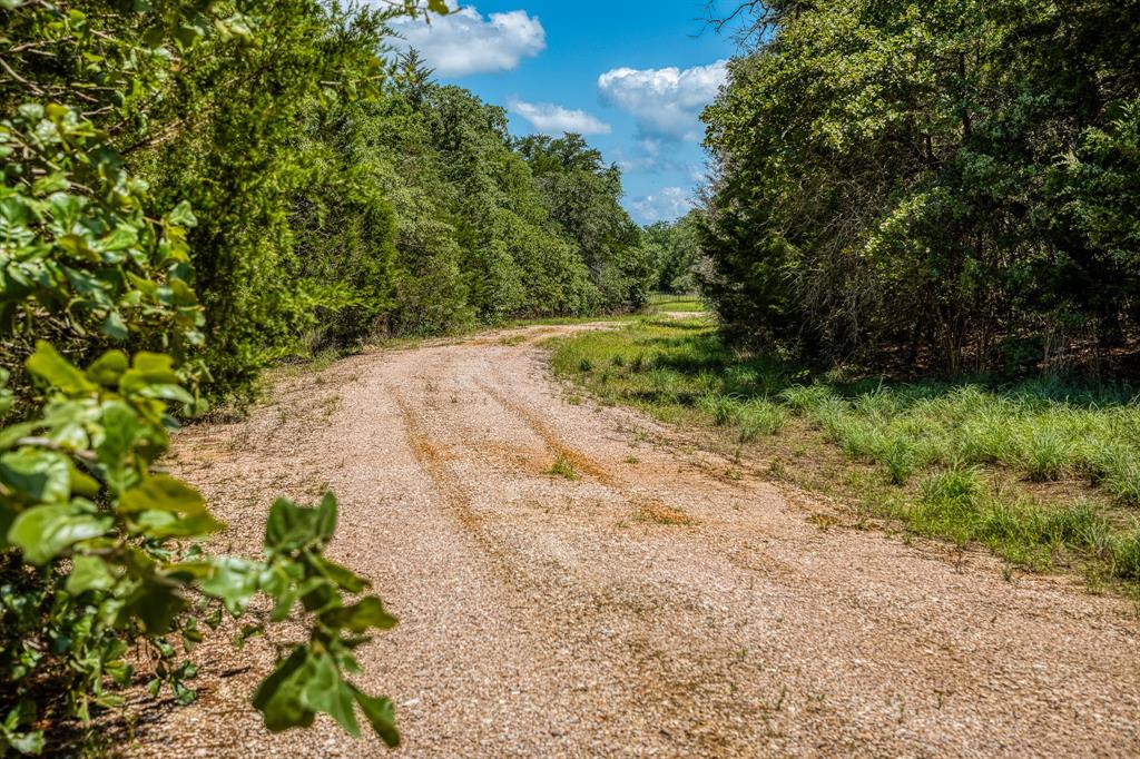 1012 Cr 438, Lexington, Texas image 2