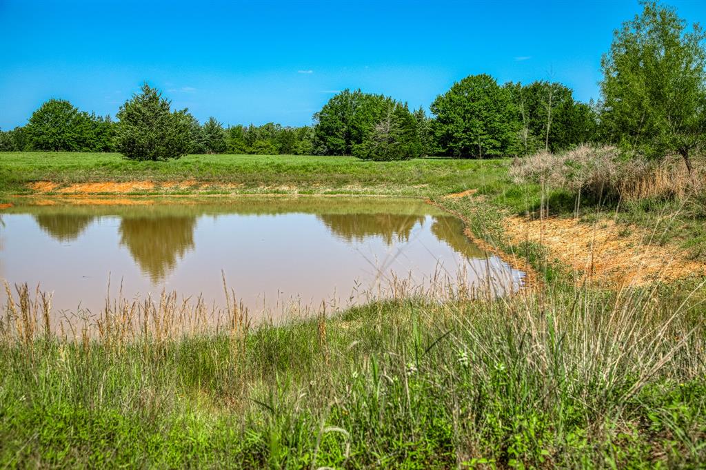 1012 Cr 438, Lexington, Texas image 14