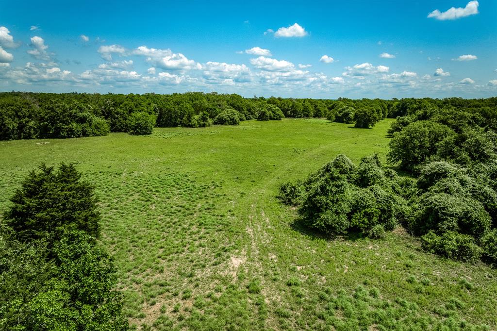 1012 Cr 438, Lexington, Texas image 43