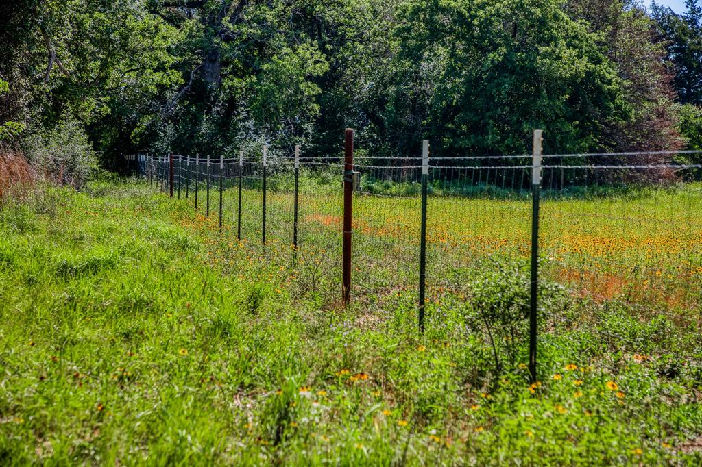 1012 Cr 438, Lexington, Texas image 23