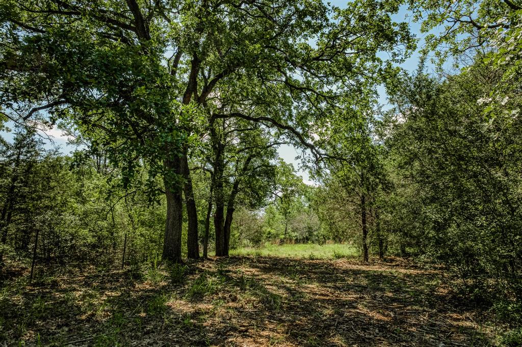 1012 Cr 438, Lexington, Texas image 38