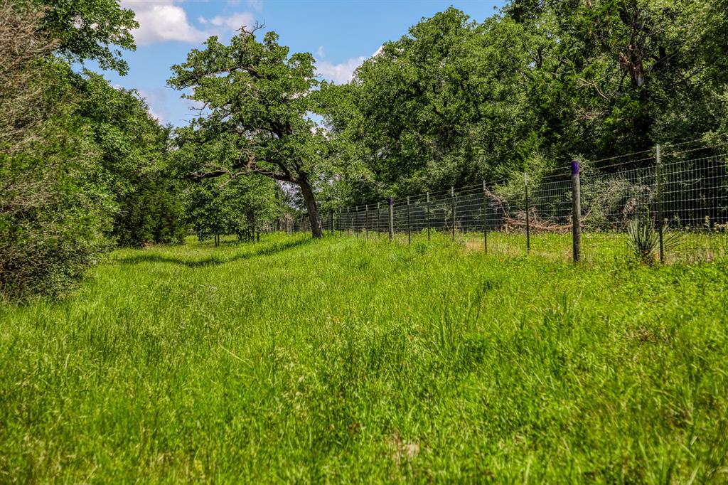1012 Cr 438, Lexington, Texas image 31