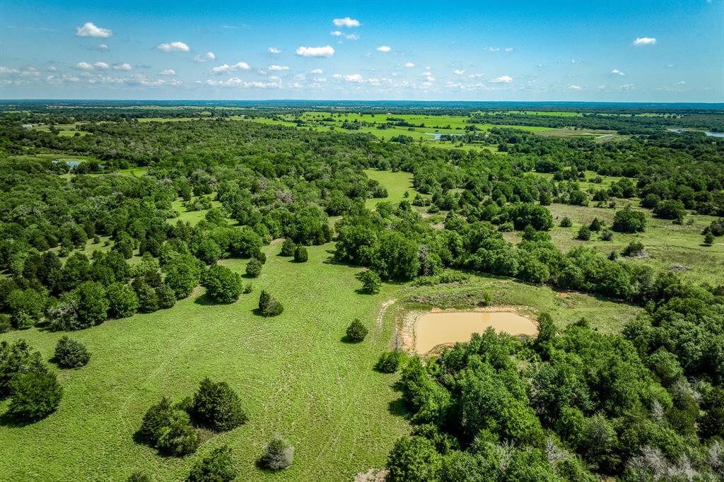 1012 Cr 438, Lexington, Texas image 40