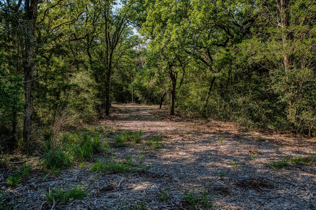 1012 Cr 438, Lexington, Texas image 5