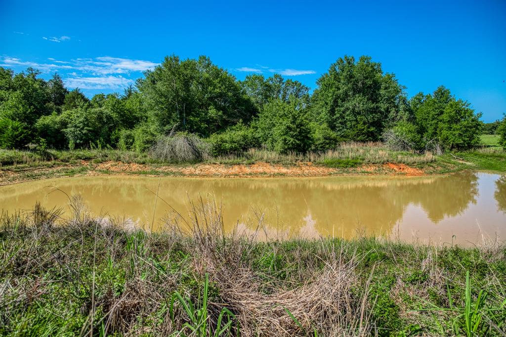 1012 Cr 438, Lexington, Texas image 13