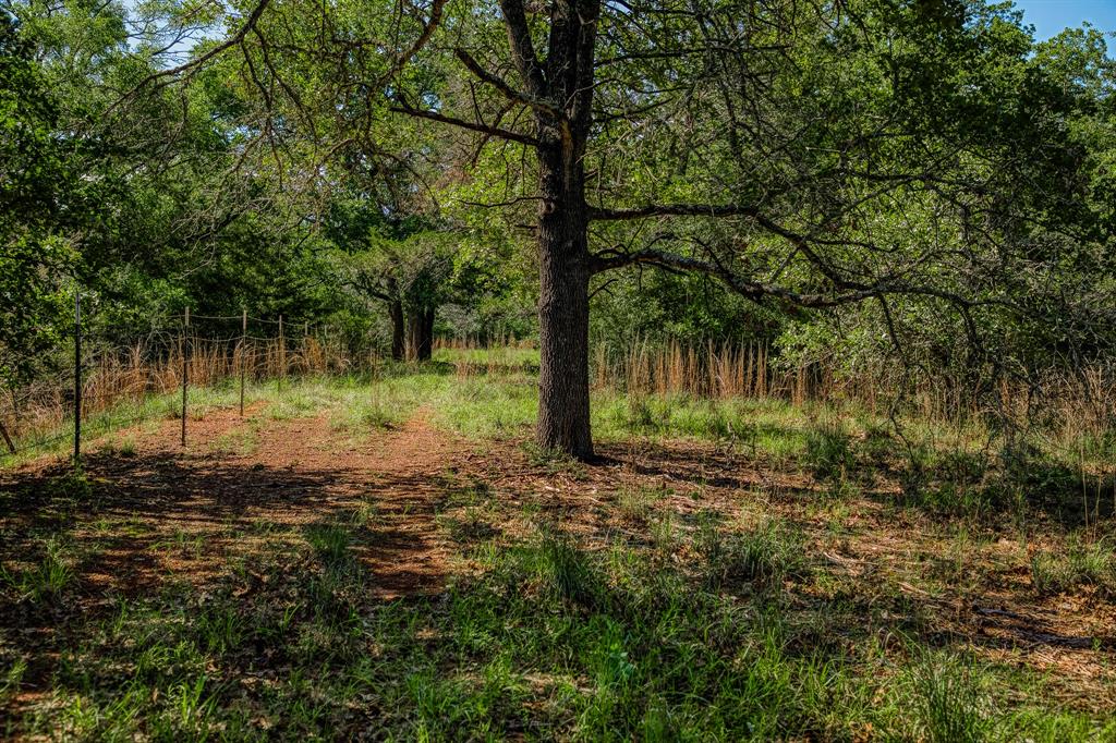 1012 Cr 438, Lexington, Texas image 15