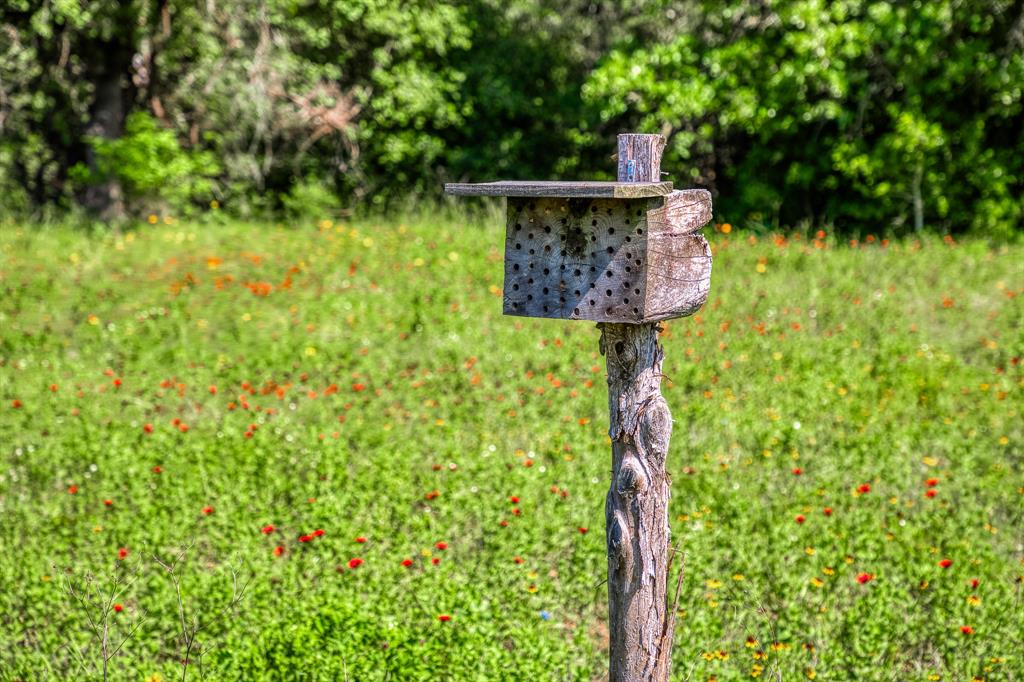 1012 Cr 438, Lexington, Texas image 18