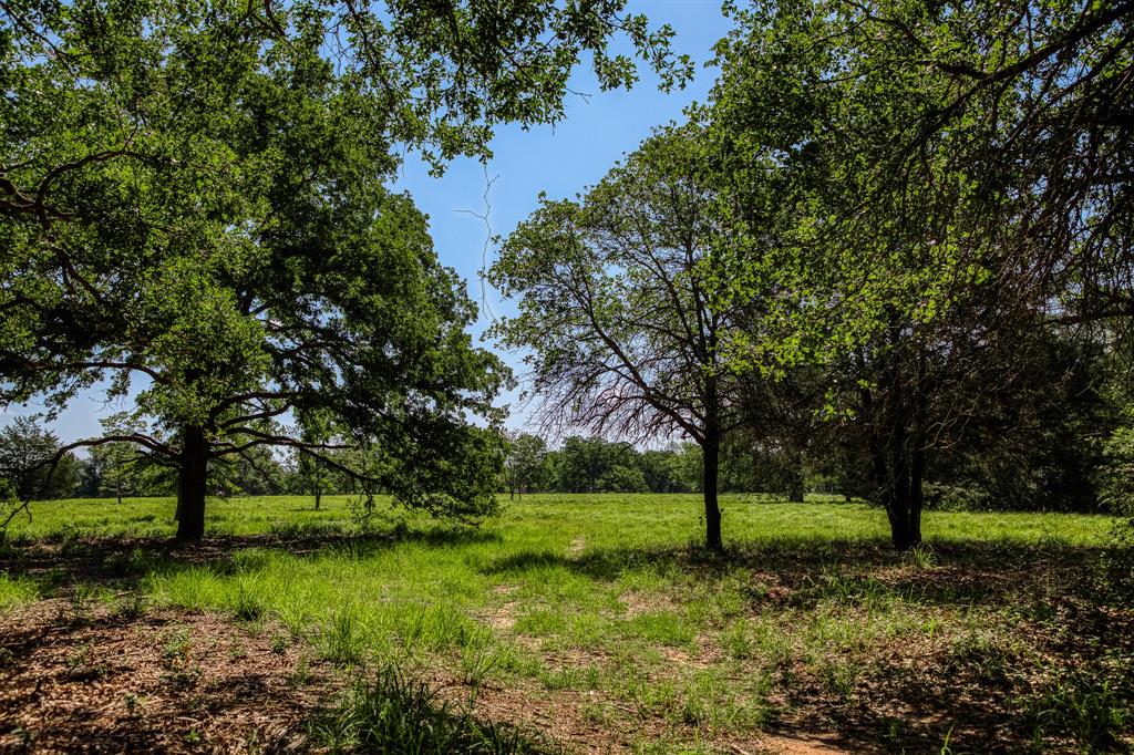 1012 Cr 438, Lexington, Texas image 39