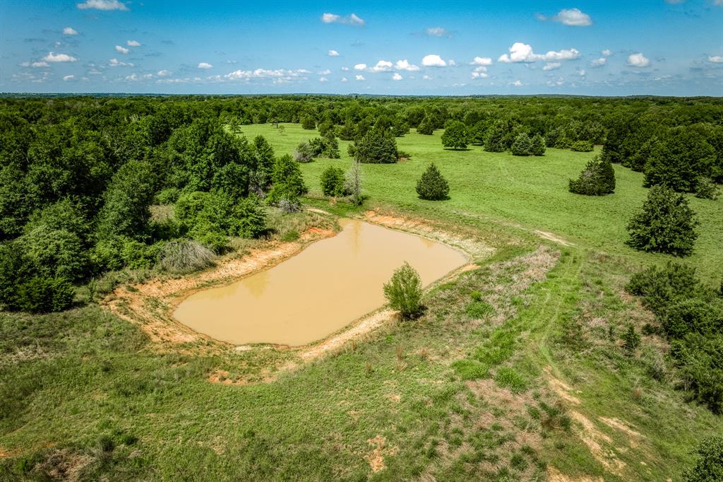 1012 Cr 438, Lexington, Texas image 41
