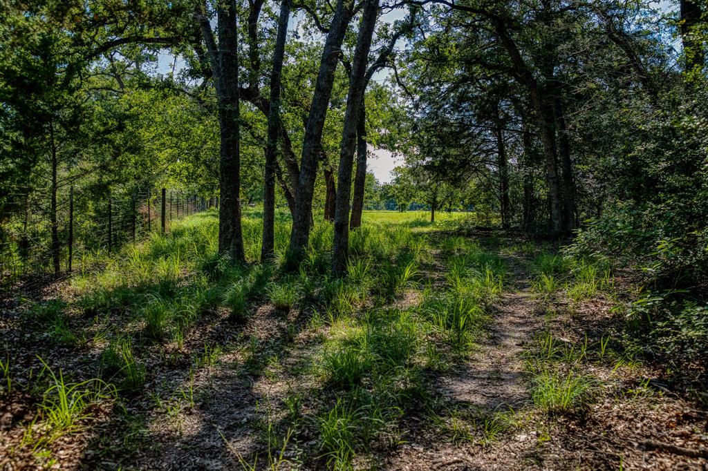 1012 Cr 438, Lexington, Texas image 4