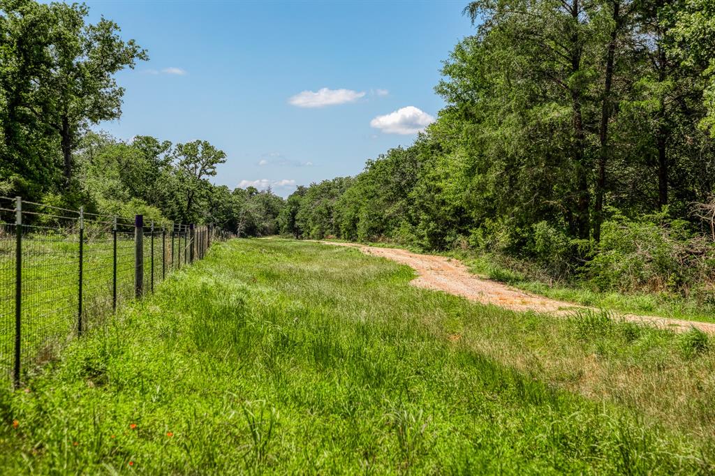1012 Cr 438, Lexington, Texas image 3