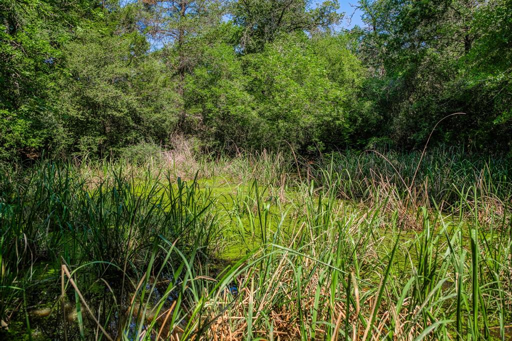 1012 Cr 438, Lexington, Texas image 32