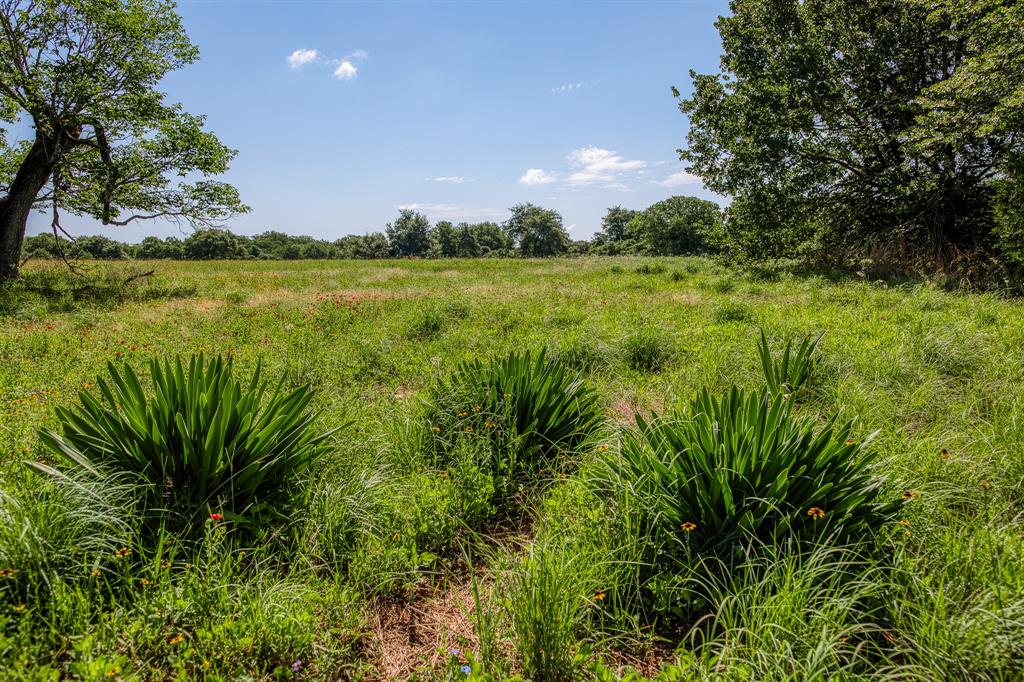 1012 Cr 438, Lexington, Texas image 26