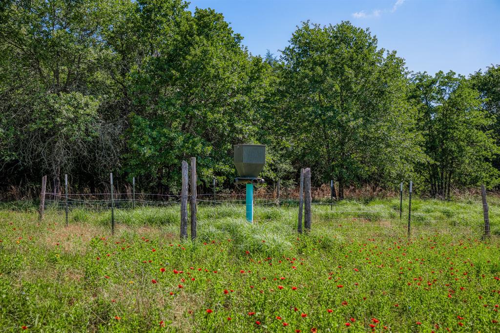 1012 Cr 438, Lexington, Texas image 21