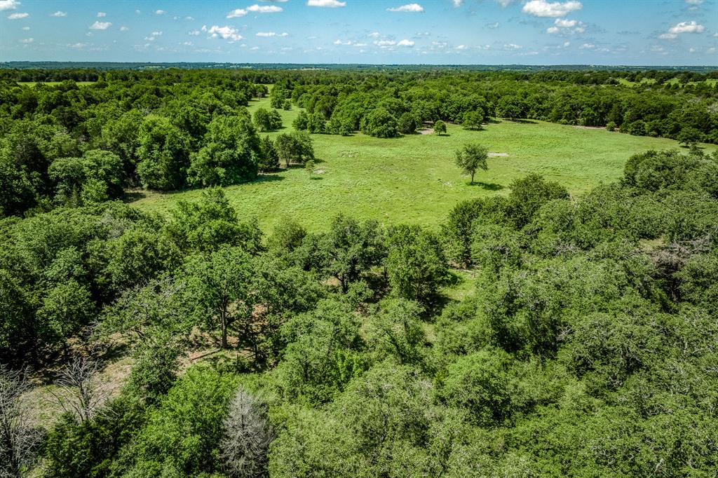 1012 Cr 438, Lexington, Texas image 42