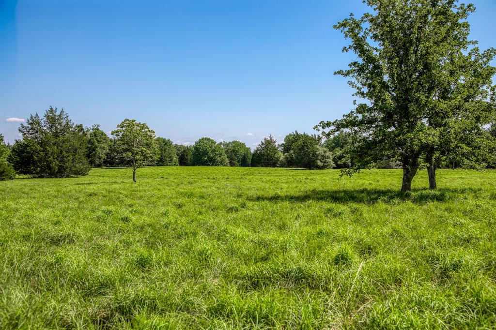 1012 Cr 438, Lexington, Texas image 7