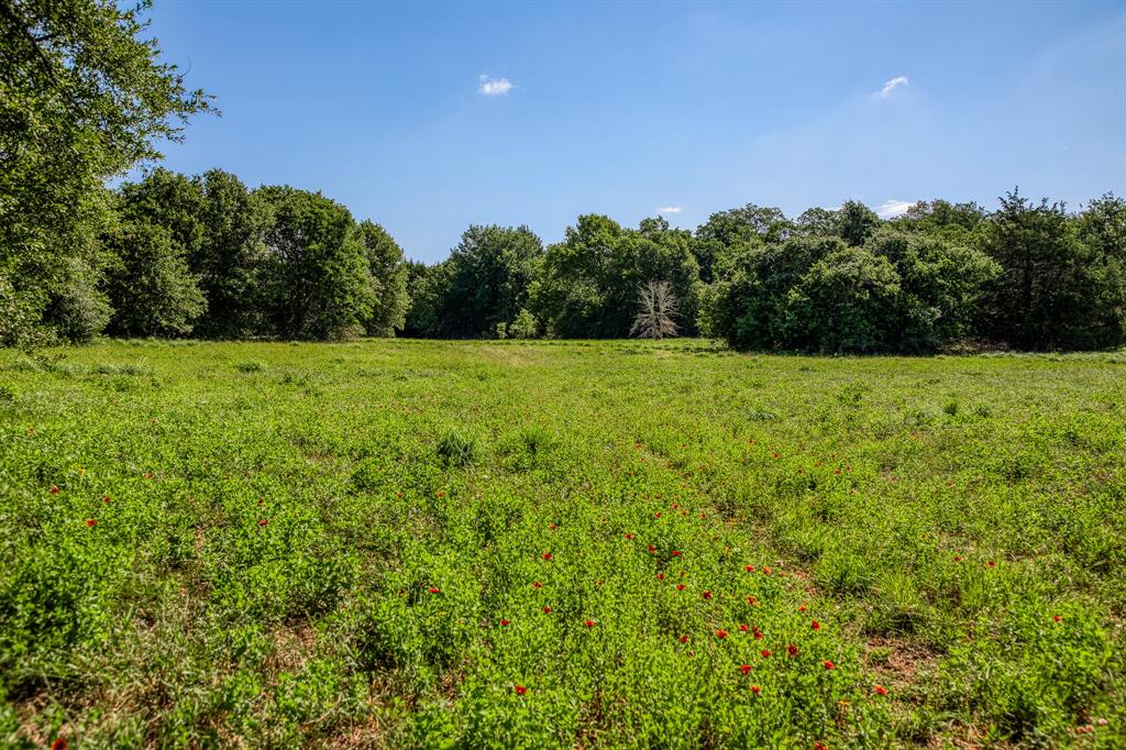 1012 Cr 438, Lexington, Texas image 24