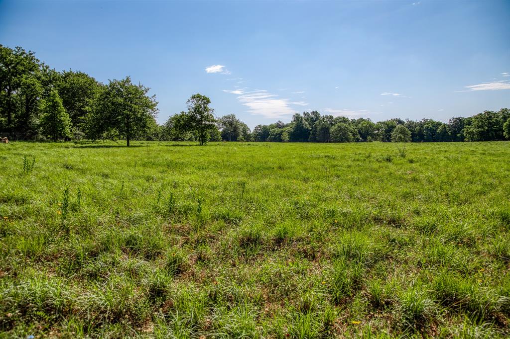 1012 Cr 438, Lexington, Texas image 8