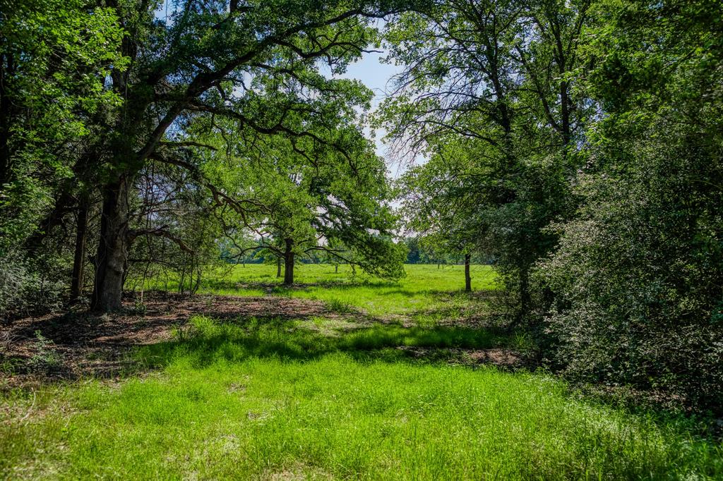1012 Cr 438, Lexington, Texas image 1