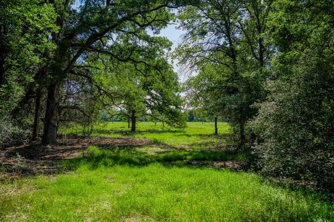 1012 CR 438 Lexington TX 78947