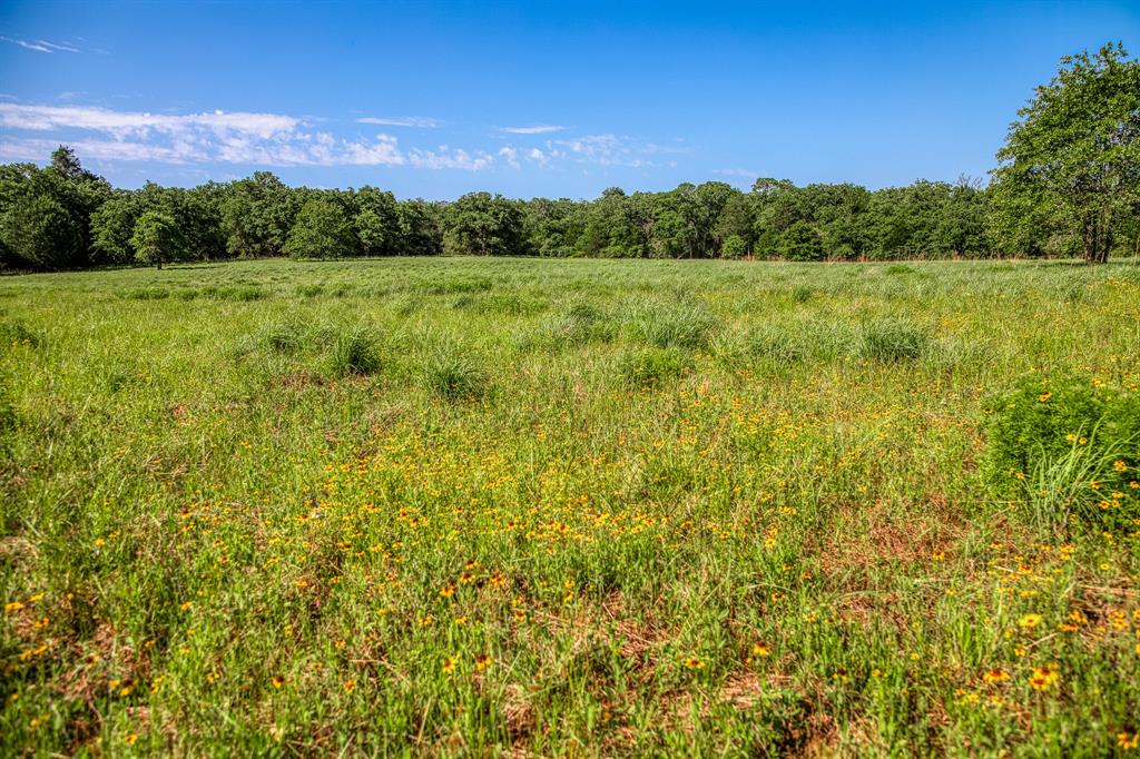 1012 Cr 438, Lexington, Texas image 11