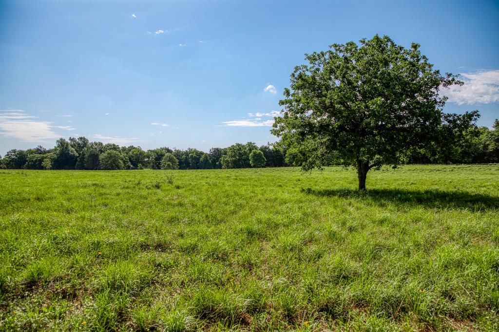 1012 Cr 438, Lexington, Texas image 6