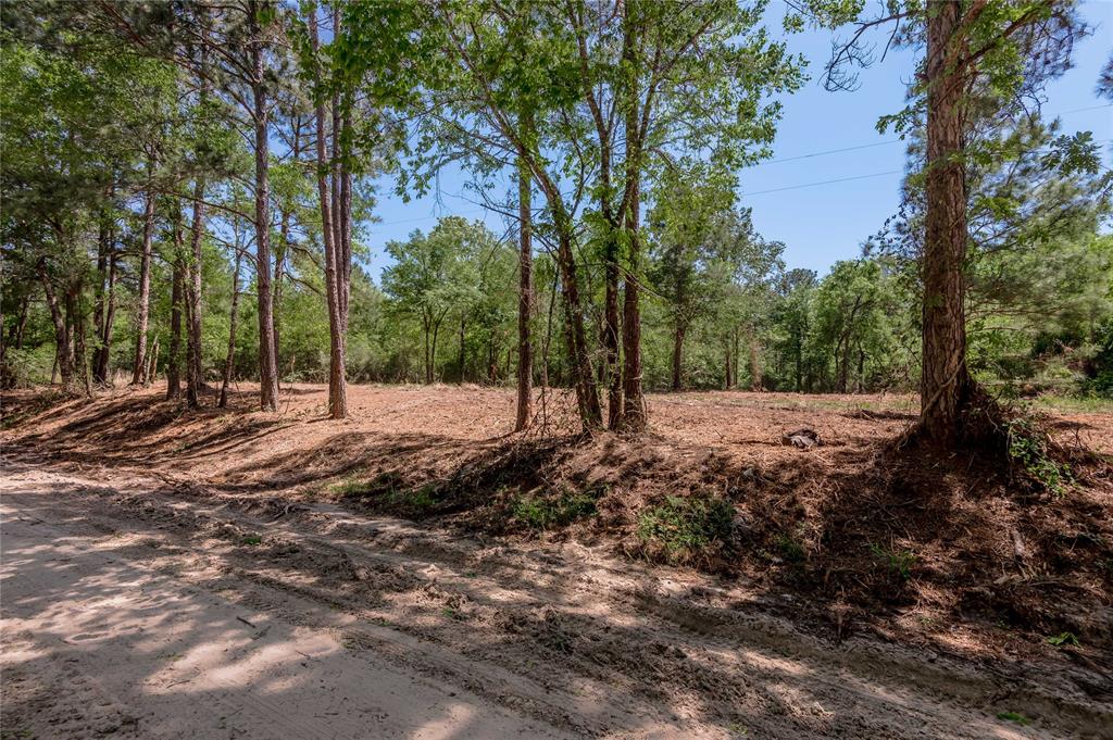 6077 Tract 1 Cr 4200, Pennington, Texas image 2