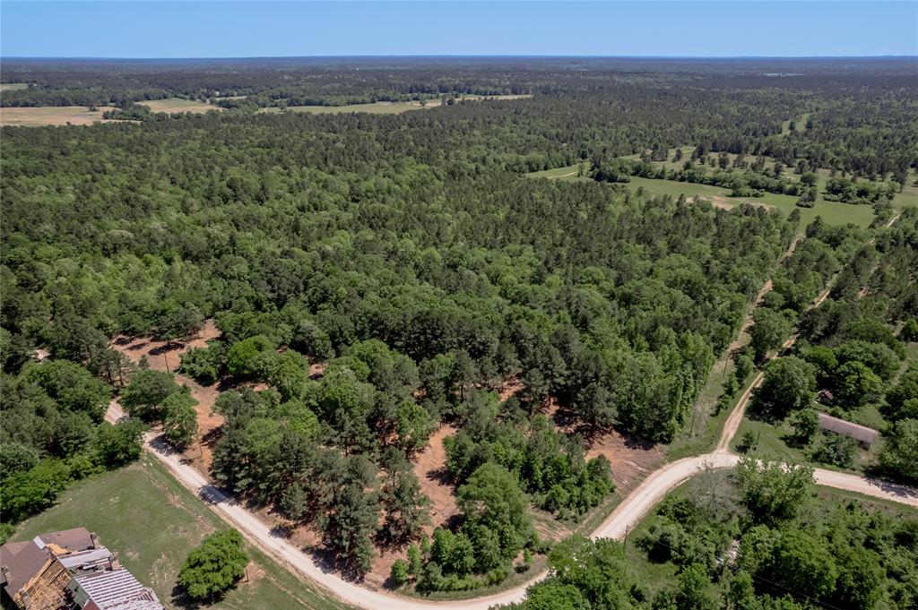 6077 Tract 1 Cr 4200, Pennington, Texas image 8
