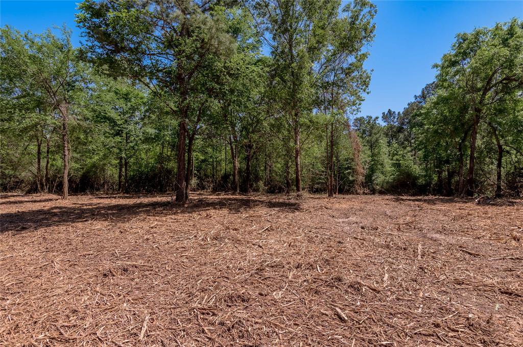 6077 Tract 1 Cr 4200, Pennington, Texas image 3