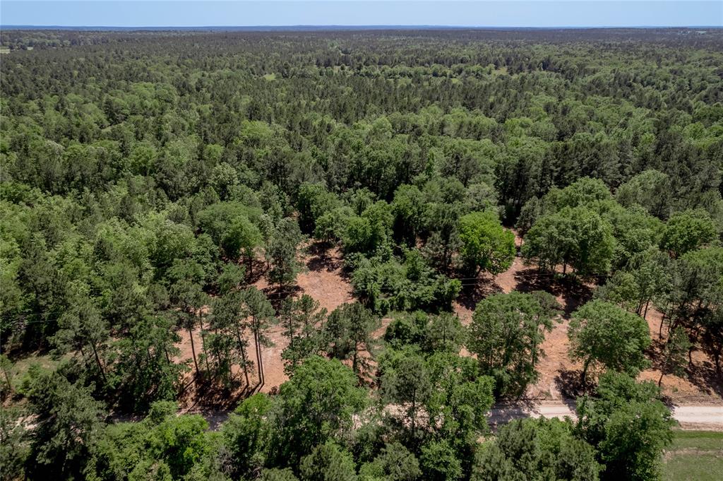 6077 Tract 1 Cr 4200, Pennington, Texas image 9