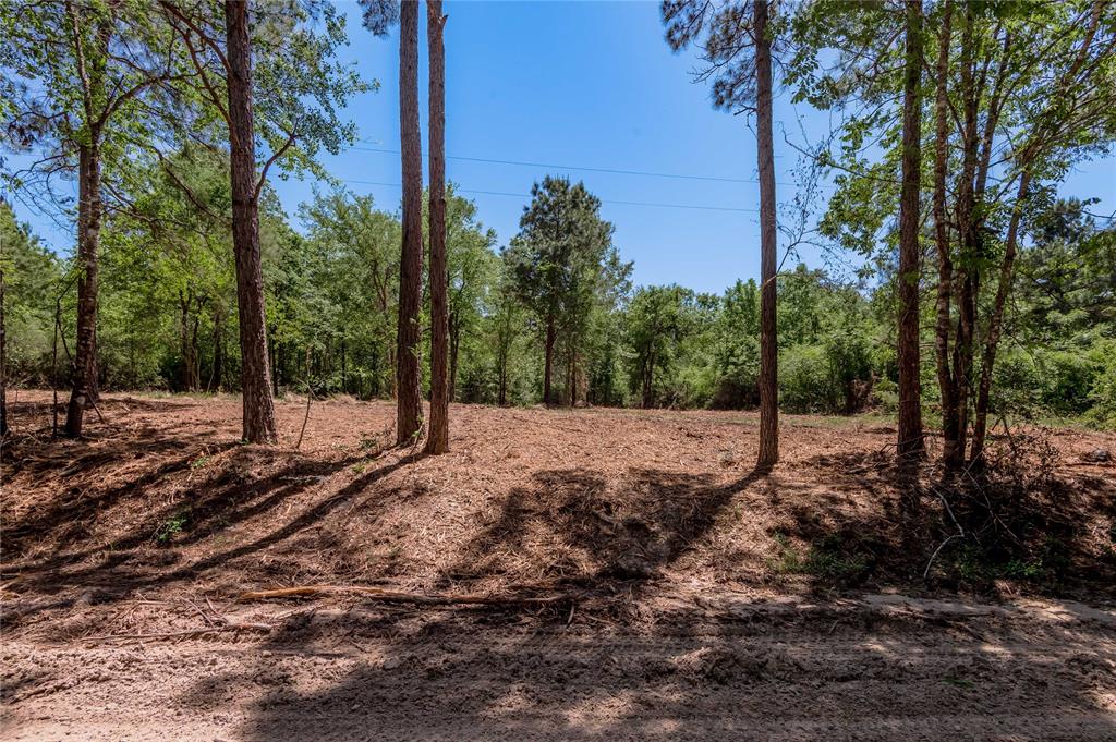 6077 Tract 1 Cr 4200, Pennington, Texas image 5