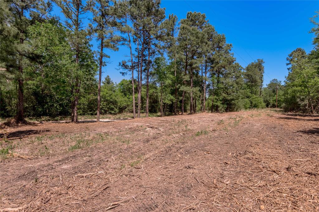 6077 Tract 1 Cr 4200, Pennington, Texas image 4