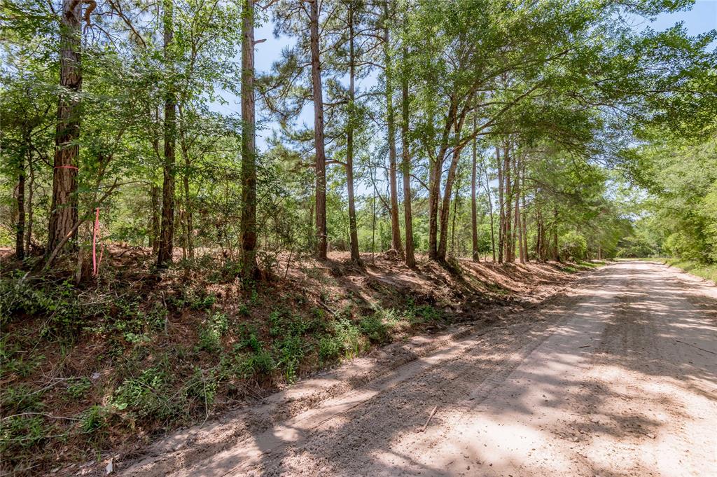 6077 Tract 1 Cr 4200, Pennington, Texas image 6