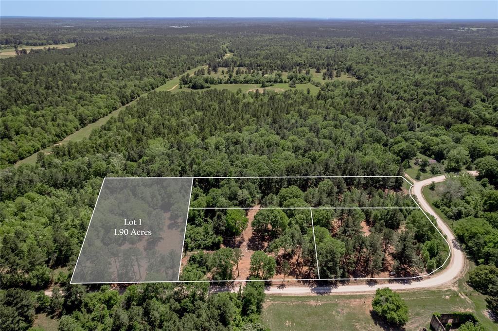 6077 Tract 1 Cr 4200, Pennington, Texas image 1