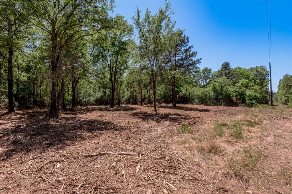 6077 Tract 1 Cr 4200, Pennington, Texas image 7