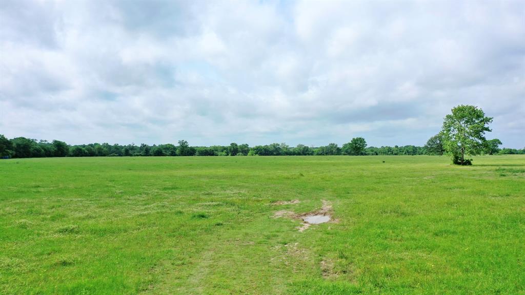 TBD Cr 3510 Road, Lovelady, Texas image 6