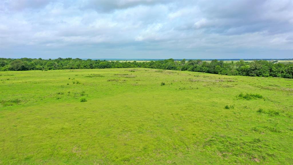 TBD Cr 3510 Road, Lovelady, Texas image 19